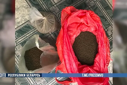 В Жлобине пресекли хранение крупной партии насвая